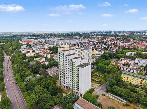 AUSSENANSICHT - ZUSAMMENSPIEL AUS WALD & SANDFLORA IN GONSENHEIM - 2 Zimmer mit Loggia als Übergang ins Offene