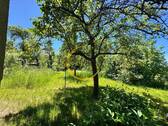 Garten - Einfamilienhaus mit 87,00 m&sup2; in Gera zum Kaufen