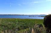 Bootsanleger 1 - 