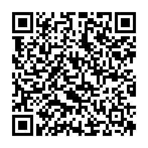 QR-Code - 