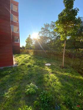 Blick in den Garten - 