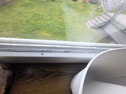 Blick auf Holzfenster.jpg - 