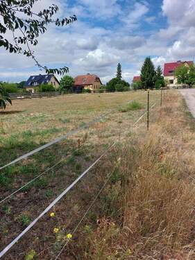 Bild 2 - Grundstück zum Kaufen in Werder/Havel