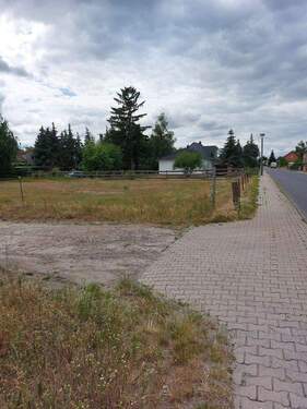 Bild 3 - Grundstück in Werder/Havel