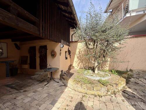 Mediterraner Innenhof mit Olivenbaum - Gepflegtes Ein- oder Mehrgenerationenhaus mit mediterranem Innenhof