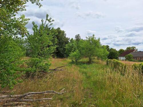 Ansicht Gartenbrache 1.jpg - Grundstück in Siggelkow