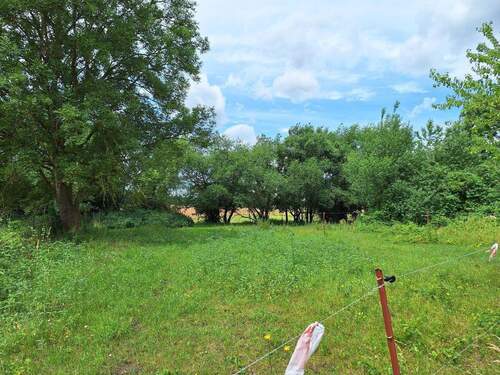 Ansicht Grünland.jpg - Grundstück in Siggelkow zum Kaufen