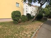 IMG_4701.jpg - 
