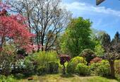 Blick von der Terrasse - 