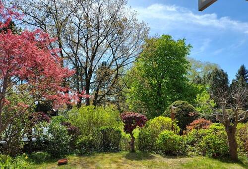 Blick von der Terrasse - 