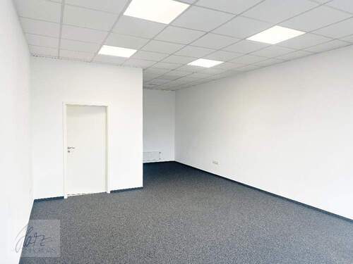 Geschäftsfläche mit Blick Richtung Küchenbereich - Einfamilienhaus zur Miete in Nünchritz