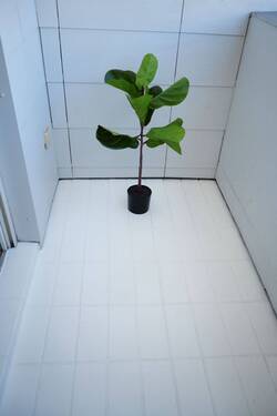 Balkon Küche - 