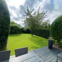 Blick in den Garten - 