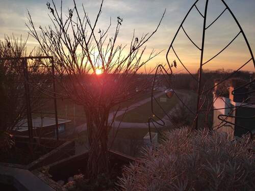 Balkon - untergehende Sonne - 2 Zimmer Etagenwohnung zur Miete in Neuss