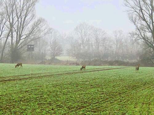 Ihr Ausblick? - 