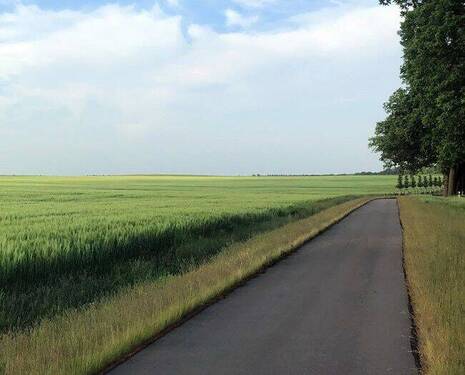 Felder-Wege-Wiesenburg.jpg - 696 m² Baugrundstück für ein Einfamilienhaus (Grundstück 02)