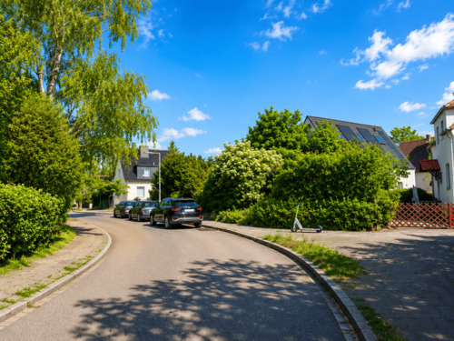Ruhige Wohnstraße mit viel Grün und angenehmer Nachbarschaft.png - 