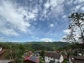 IMG_2252.jpeg - 