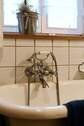 Bad Nostalgie Haus - 