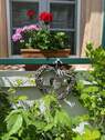Fenster Bauernhaus Geranien - 