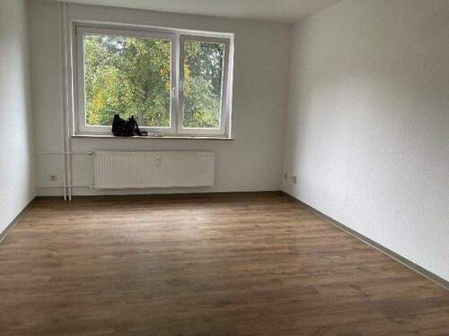 Wohnzimmer mit Panoramafenster, Blick ins Grüne und neuen Bodenbelägen.jpg - 2 Zimmer Etagenwohnung in Bad Hersfeld