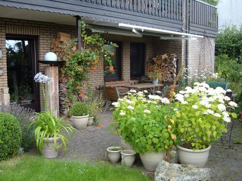 Terrasse Souterrainwohnung - 8 Zimmer Etagenwohnung zum Kaufen in Olsberg