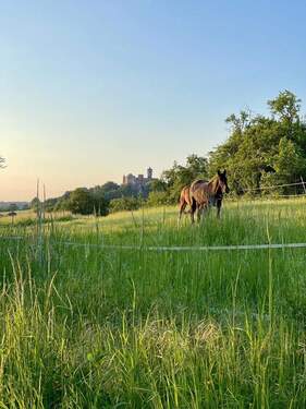 Blick vor der Haustür - 