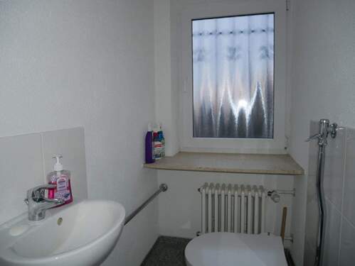 Dusche und WC - 1 Zimmer Etagenwohnung in Warthausen