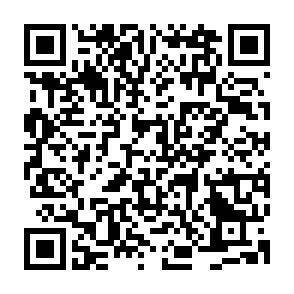 QR-Code - 