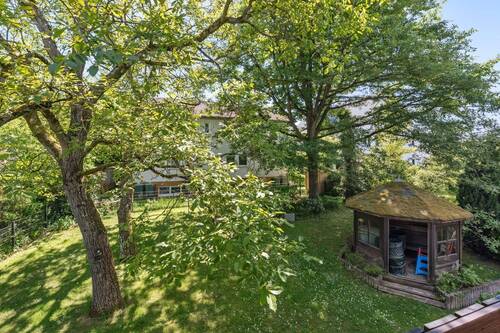 Blick in den Garten - 