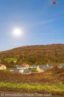 Blick ins Tal - vom Grundstück aus - Grundstück in Langsur zum Kaufen