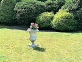 Gartenimpressionen - 