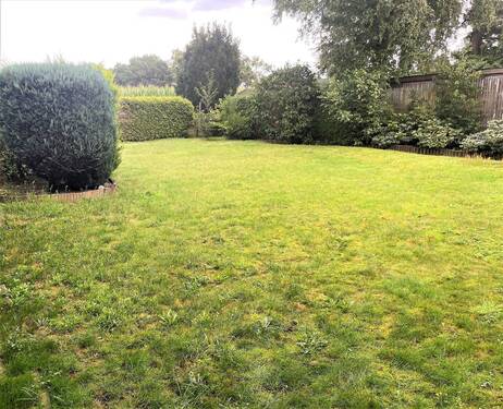 der pflegeleichte Garten - 