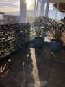 Dachterasse 2 - 