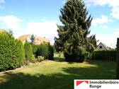 Alter Baumbestand.jpg - 