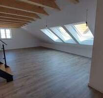 Loft-Feeling. Große Wohnung mit Galerie - Geisenhausen