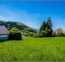 Selten und wunderschön! Baugrundstück in Südhanglage mit Fernblick. - Sasbachwalden