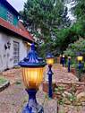 etwas Besonderes wartet - 
