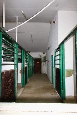 5 Boxen - 