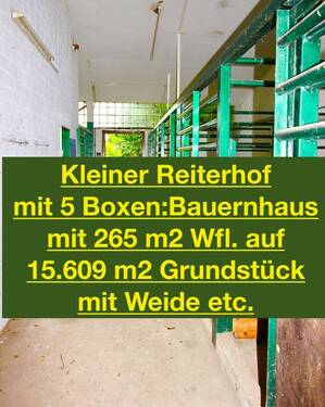 der kleine Reiterhof - PREISREDUZIERUNG!!!!!! Bauernhof - mit xxl Areal - Bauland - Halle - Stall -Teich etc