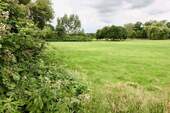 Weide/Koppel - 
