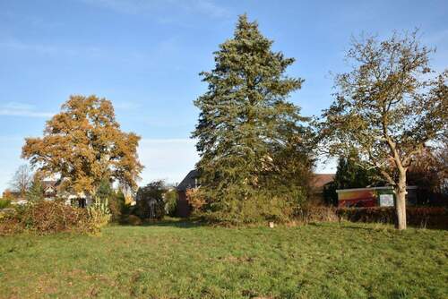 Baugrundstück Ansicht vom Billetal.jpg - 