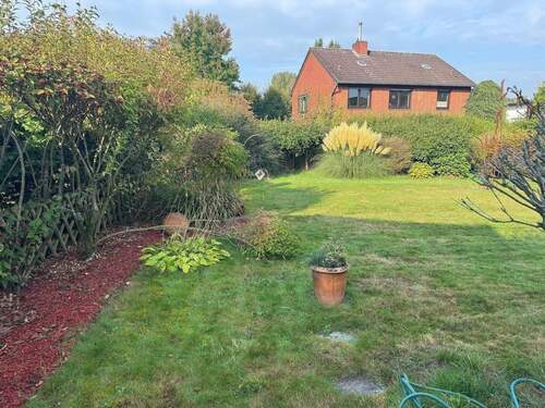 Blick in den Garten - 