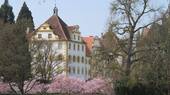 Nahe beim Schloss - 