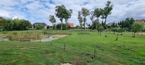 Vor und nach dem Zaun - Ihr Land - 