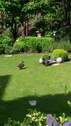 Gartenimpressionen - 