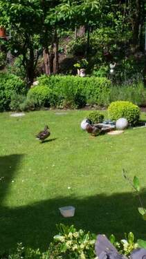 Gartenimpressionen - 