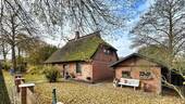 Vorderansicht mit Schuppen - 