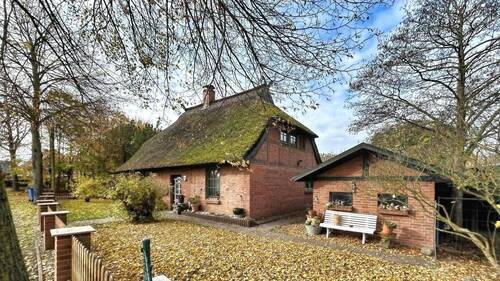 Vorderansicht mit Schuppen - 
