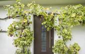 Eingang Einliegerwohnung - 